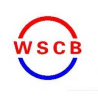 河北王氏常标紧固件制造有限公司