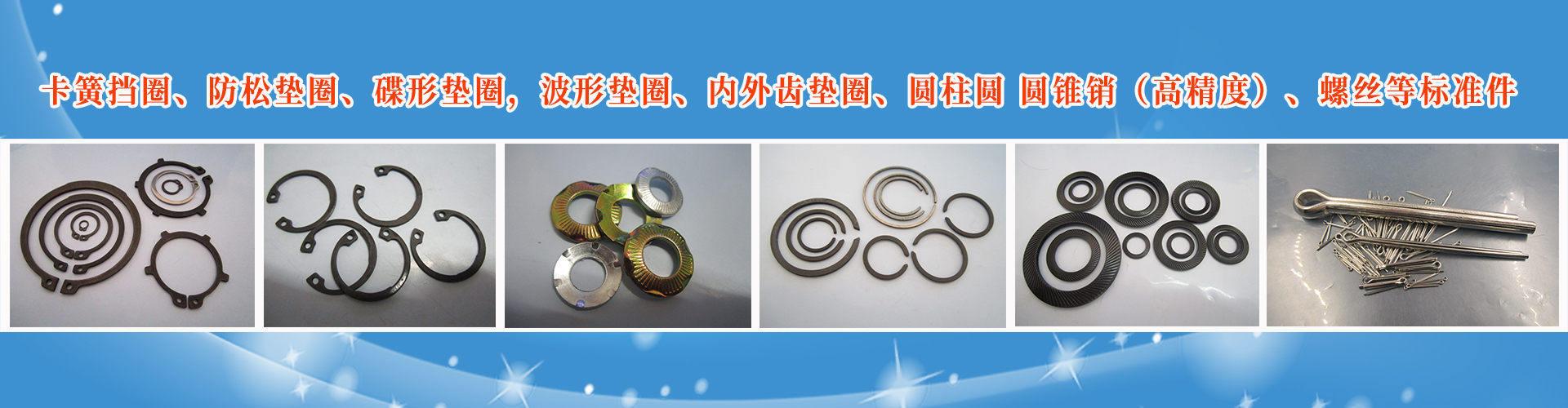 深圳市盛安隆精密五金有限公司 企业展示