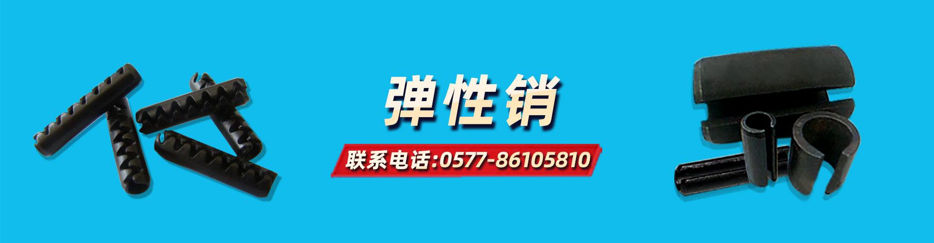 温州市圣勒标准件有限公司 企业展示
