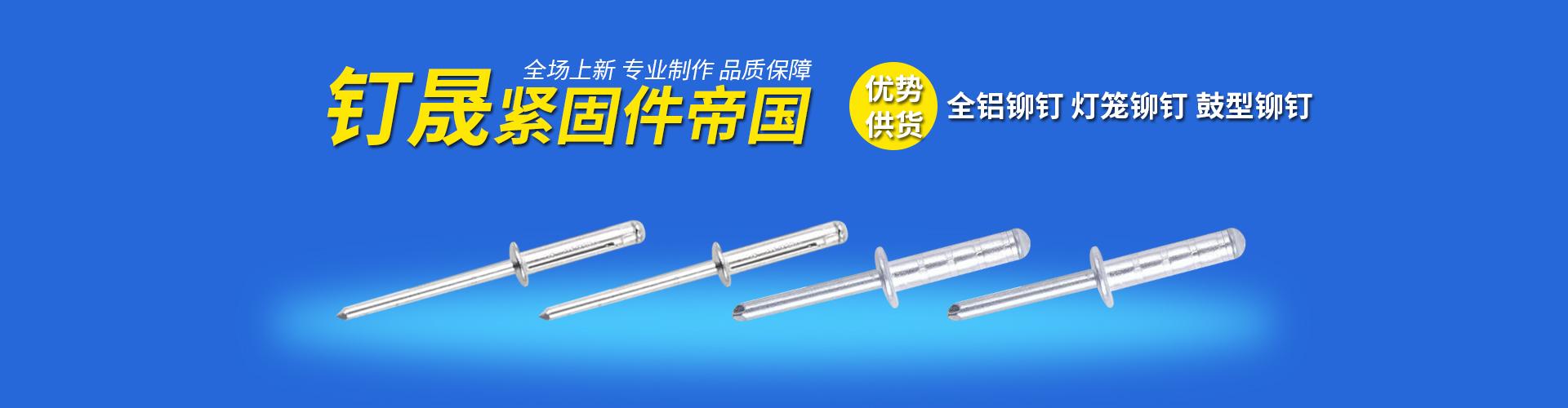 慈溪市釘晟緊固件有限公司 企業展示
