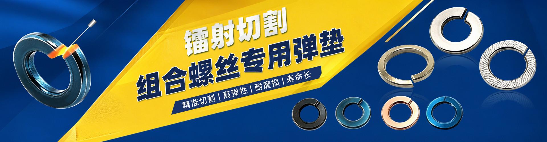 瑞安市场桥永久标准件厂 企业展示