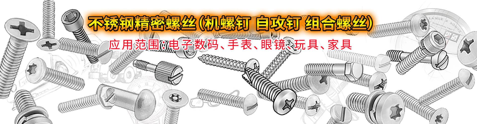苏州市桂丰精密不锈钢紧固件厂 企业展示