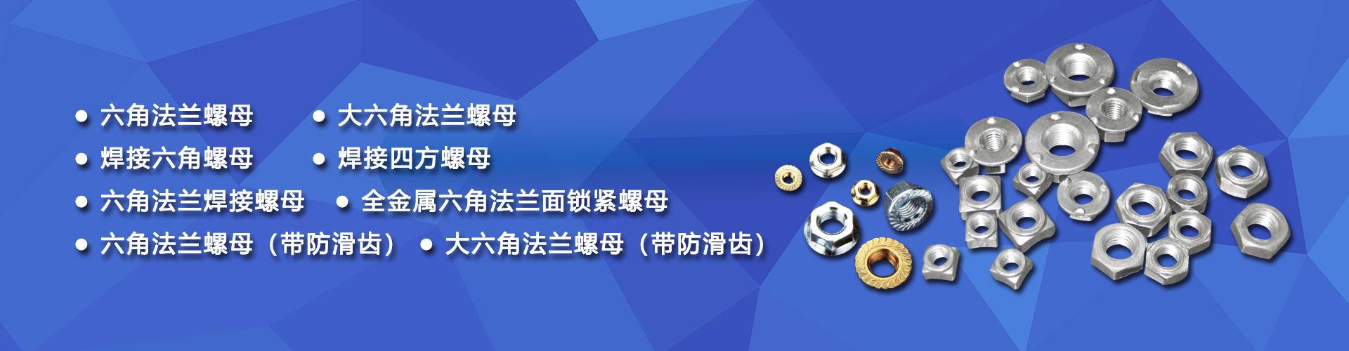 浙江辰标五金制品有限公司 企业展示