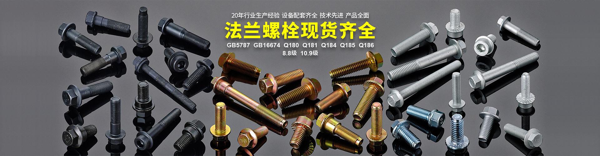 温州新阳标准件有限公司 企业展示