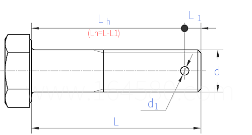 GB /T 31.3 - 2025 六角头螺杆带孔螺栓 细牙