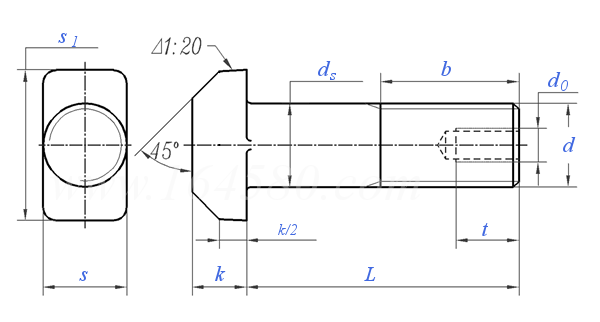 DIN  261 - 2010 T型帶孔螺栓
