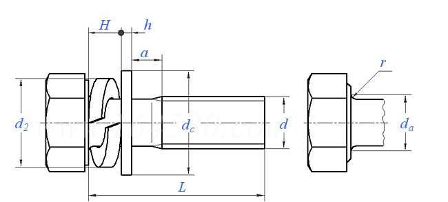 Q  146B 六角頭螺栓與彈墊、平墊組合