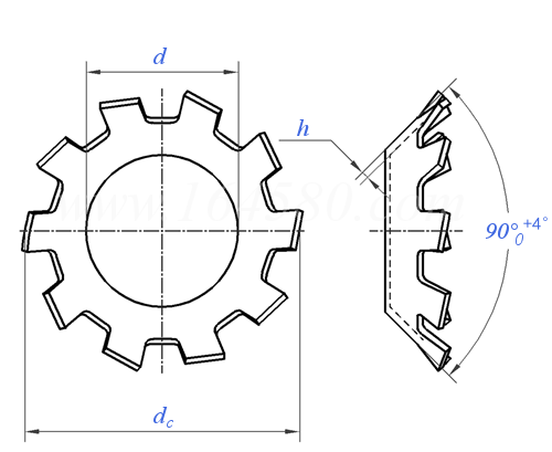 JIS B 1251 (TW/C) - 2001 外齒錐形鎖緊墊圈 [表6] TW/C
