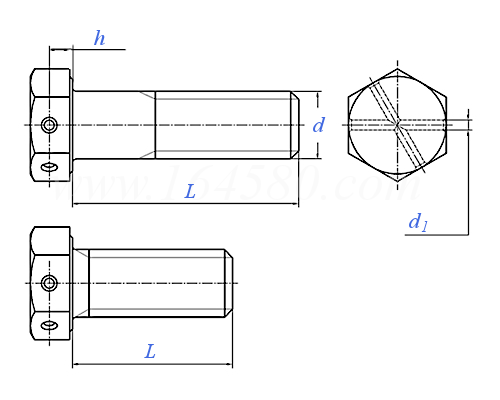 Q  170B 六角頭頭部帶孔螺栓 [粗牙普通螺紋]