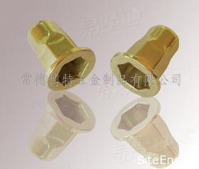 平頭半六角鉚螺母