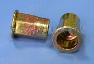 平圓頭半六角拉鉚螺母