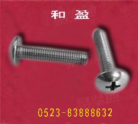 不锈钢大扁头机螺钉