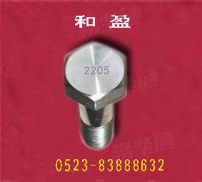 双相钢不锈钢2205六角螺栓