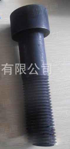 2205双相不锈钢内六角圆柱头螺钉