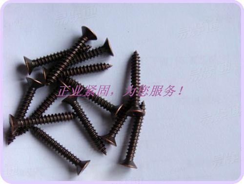 不鏽鋼沉頭自攻釘 鍍古銅