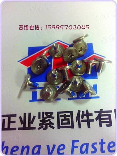 不锈钢大头螺丝 十字槽大平圆头螺钉