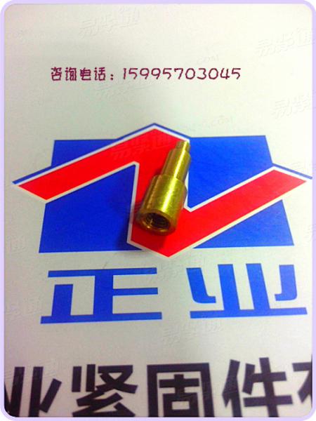 銅車削件 内螺紋圓柱頭台階銷軸 銅非标銷軸