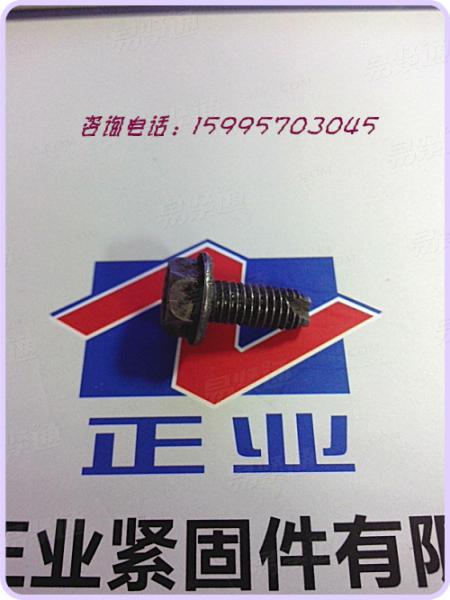 不鏽鋼外六角頭法蘭面割尾螺釘