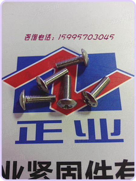 不鏽鋼大扁頭機螺釘 不鏽鋼螺絲廠家現貨