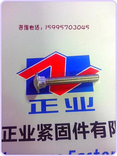 不锈钢圆头方颈螺钉 不锈钢蘑菇头螺钉