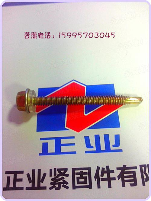 不銹鋼六角帶墊鉆尾螺釘 （配密封墊圈）