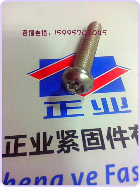 不锈钢防盗螺丝 不锈钢防盗梅花槽螺钉