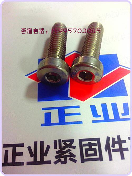 316不鏽鋼内六角螺釘