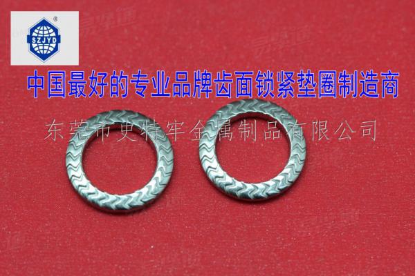 Z型法式鎖緊墊圈新供應 Z型法式鎖緊墊圈中國制造商