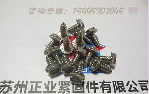 不鏽鋼六角頭帶墊自攻釘