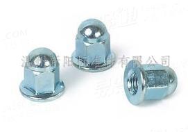 镀锌六角法兰面盖形螺母