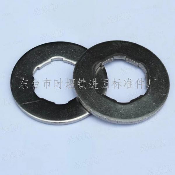 不鏽鋼非标墊圈（内孔凹凸）