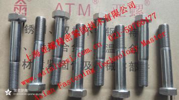 A5-80 不鏽鋼外六角螺栓