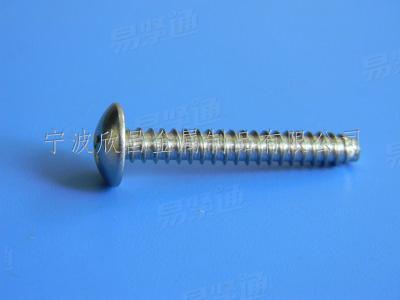 304不鏽鋼十字槽大扁頭自攻釘