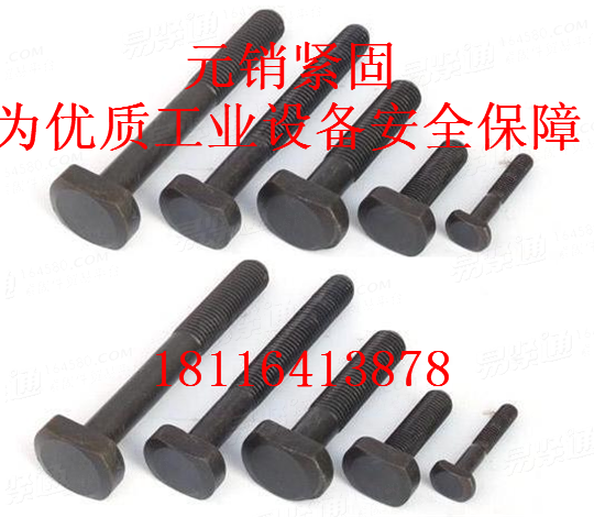 DIN261 T型螺栓(T型帶孔螺栓）