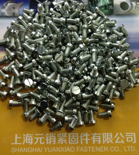 DIN德标 7500AE - 1995 【开槽圆柱头三角锁紧自攻钉】