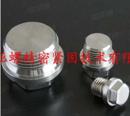 A2-70外六角螺塞