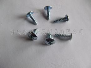 不鏽鋼  十字槽大扁自攻釘