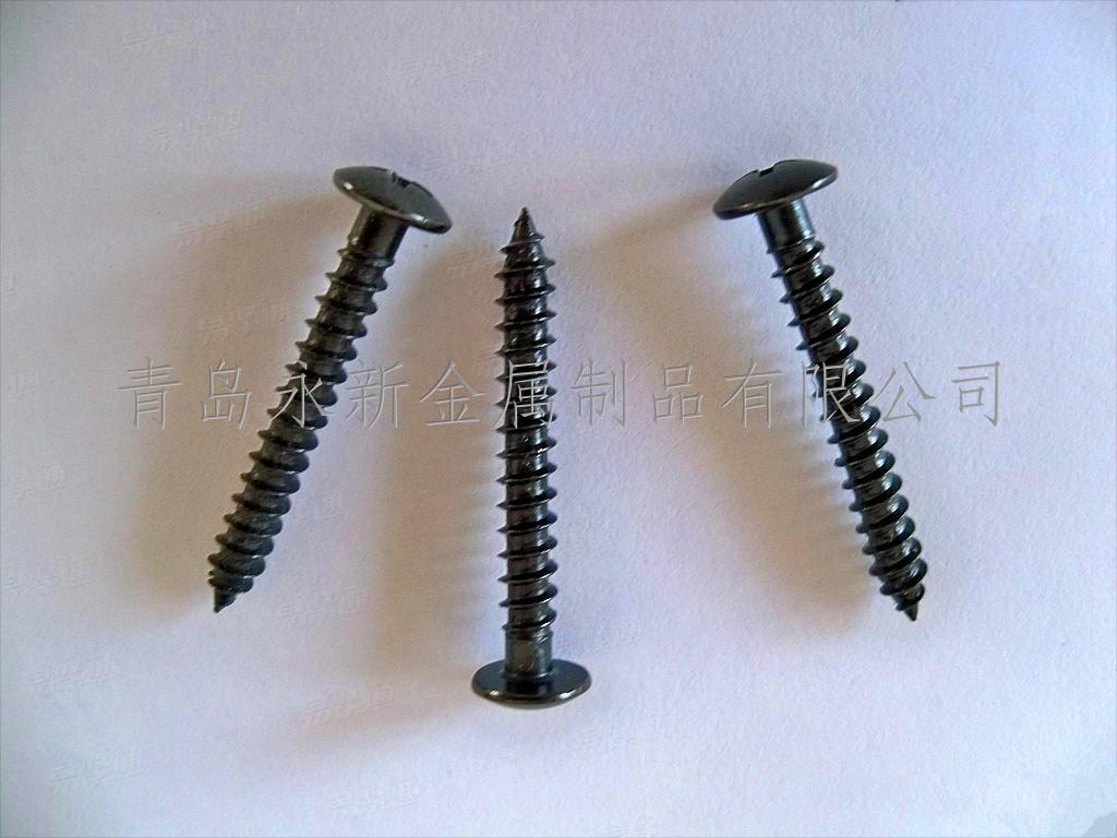 发黑  十字槽大扁头自攻钉 发黑