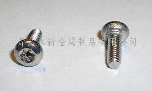不锈钢 内六角花形半沉头螺钉