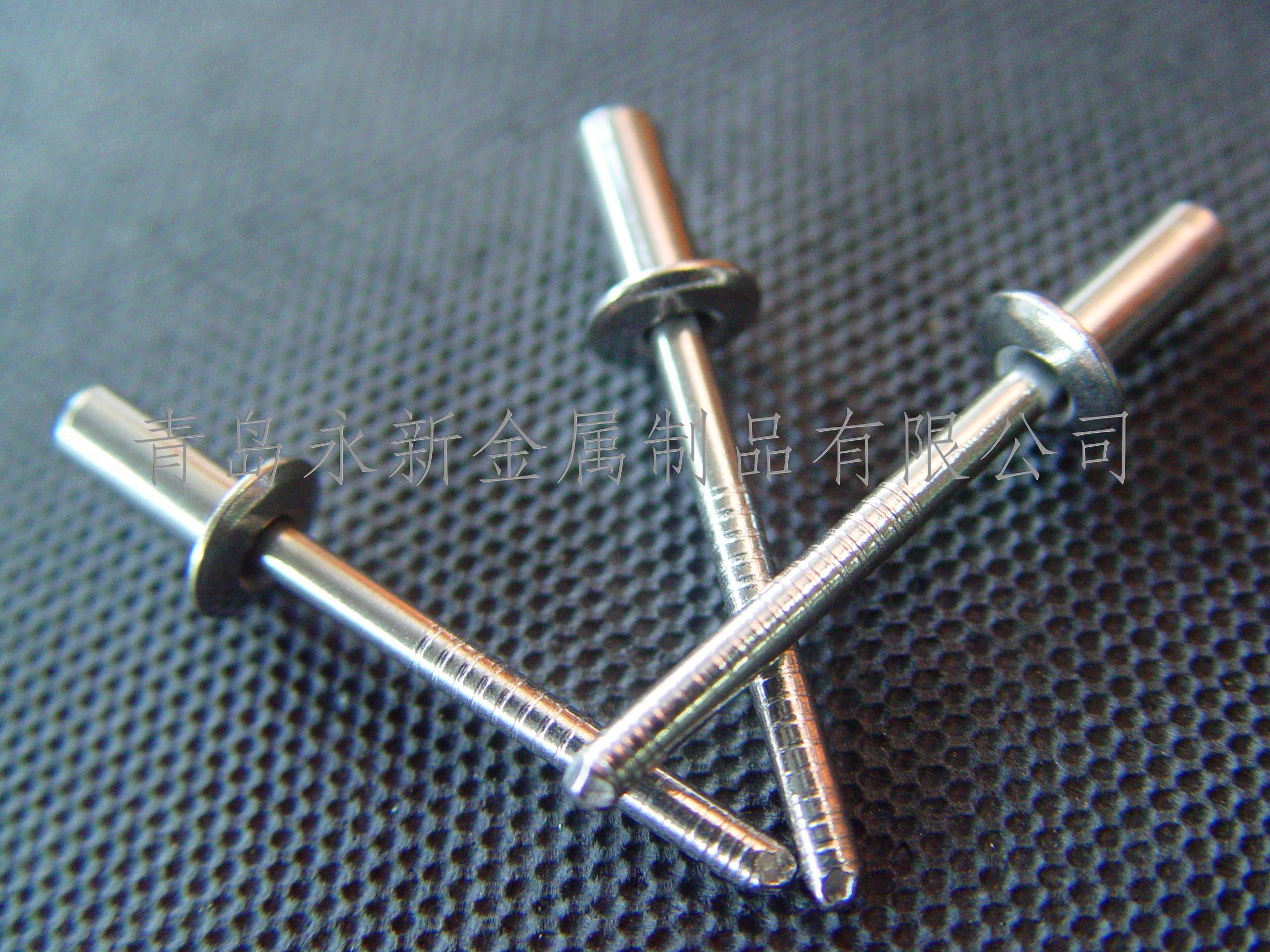 GB 12615 封闭型扁圆头抽芯铆钉