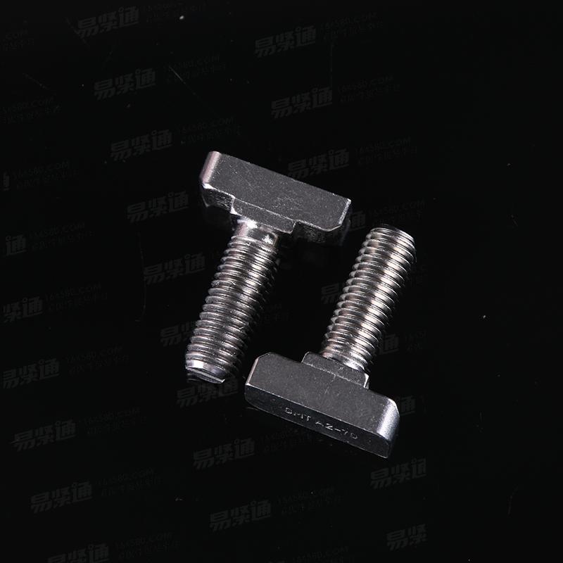 304不鏽鋼 T型螺栓 A-70