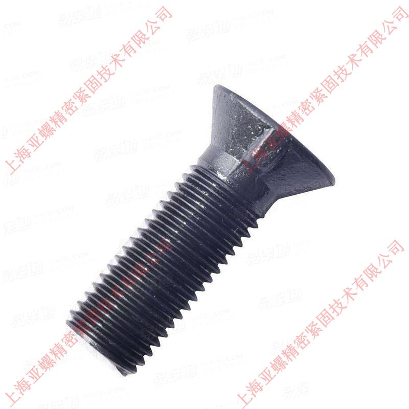 304不锈钢沉头带榫螺栓M10*30