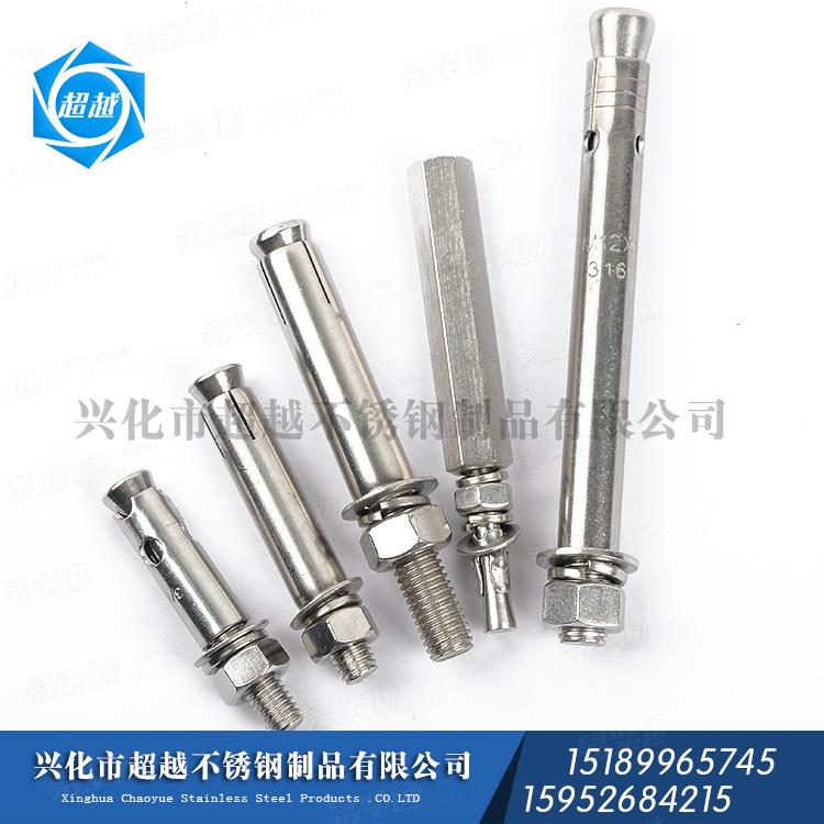 供应不锈钢螺丝 304 316 膨胀螺丝 拉爆螺栓 内迫壁虎