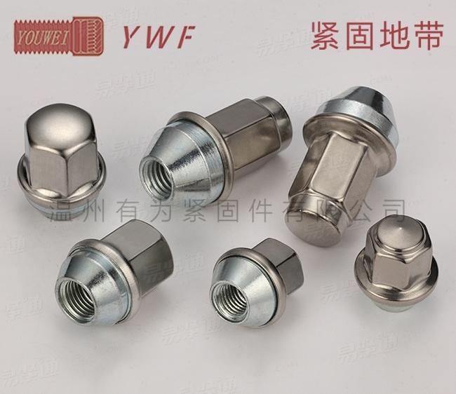 不锈钢轮胎螺母