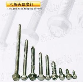 各种规格六角头自攻钉 工厂直销