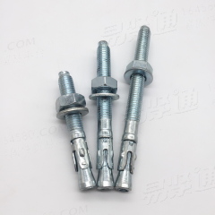 车修壁虎 螺杆型膨胀锚栓 GB /T 22795 (LG) - 2008
