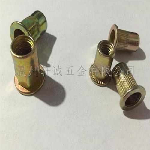 Q372平頭豎紋鉚螺母GB17880