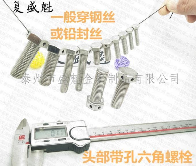 Q170六角頭頭部帶孔螺絲