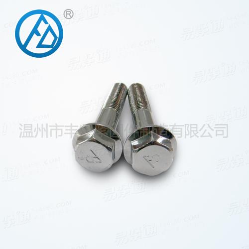 六角頭法蘭螺栓DIN6921