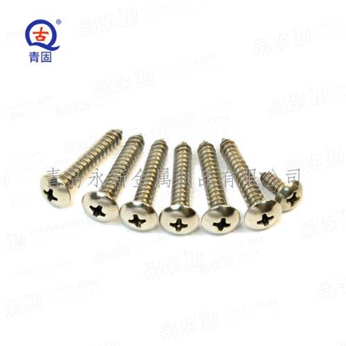 碳钢/不锈钢 十字槽大扁头自攻钉